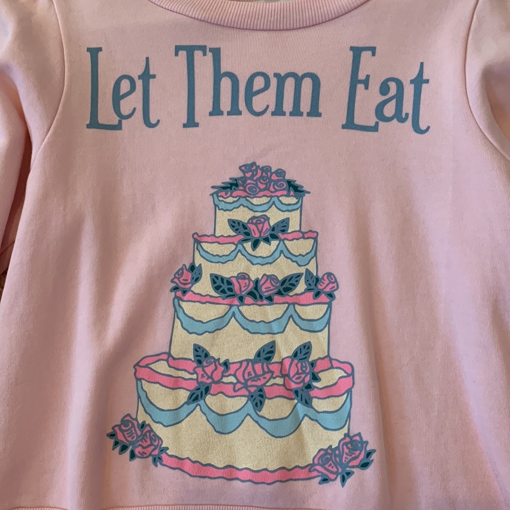 WILDFOX LET THEM EAT CAKE SWEATSHIRT